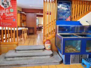 el planeta comer marisco en gijon