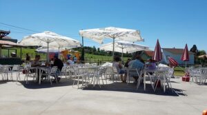 el mallu del infanzon mejores merenderos en gijon